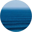 Catarina Trota profile picture